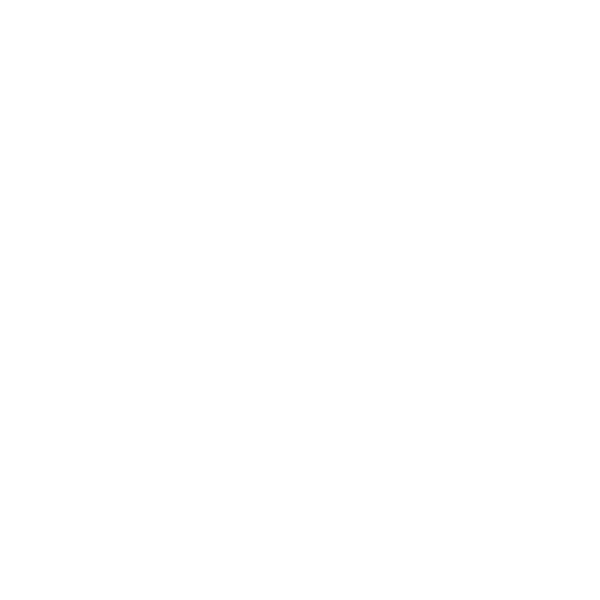 white icon representing the open budget platform