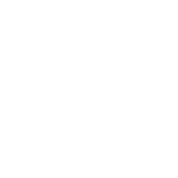 demographic white icon