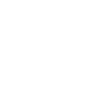 white icon representing voting districts map viewer